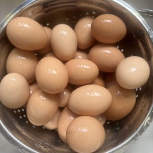 18 washed eggs