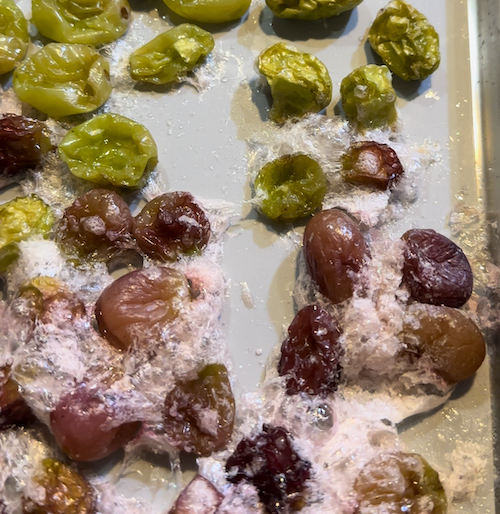 Freeze dried grapes