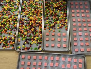 Skittles and Starburst on trays before freeze drying