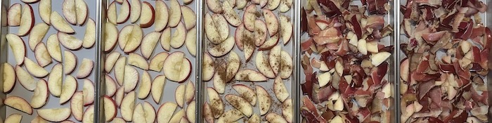 apple scraps to make freeze dried apple powder and apple slices