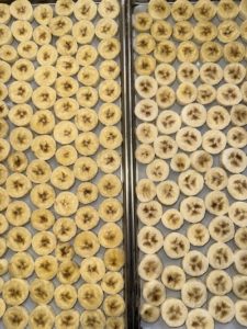 banana on freeze drier trays
