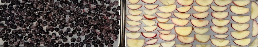 apples and blueberries before freeze drying