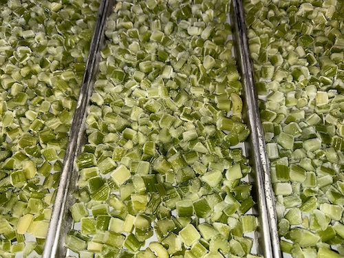pre-frozen celery