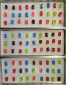 Jolly Ranchers on freeze dryer trays