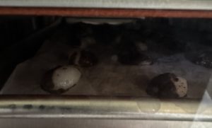 Junior Mints in freeze dryer