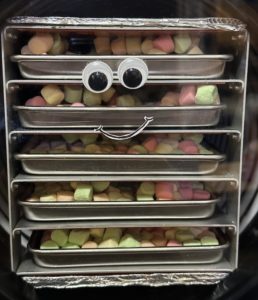 flavored mini marshmallows in freeze dryer