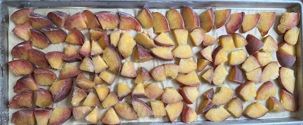 fresh peaches on freeze dryer tray before going into the machine