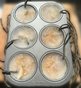 frozen snacks in the muffin tin